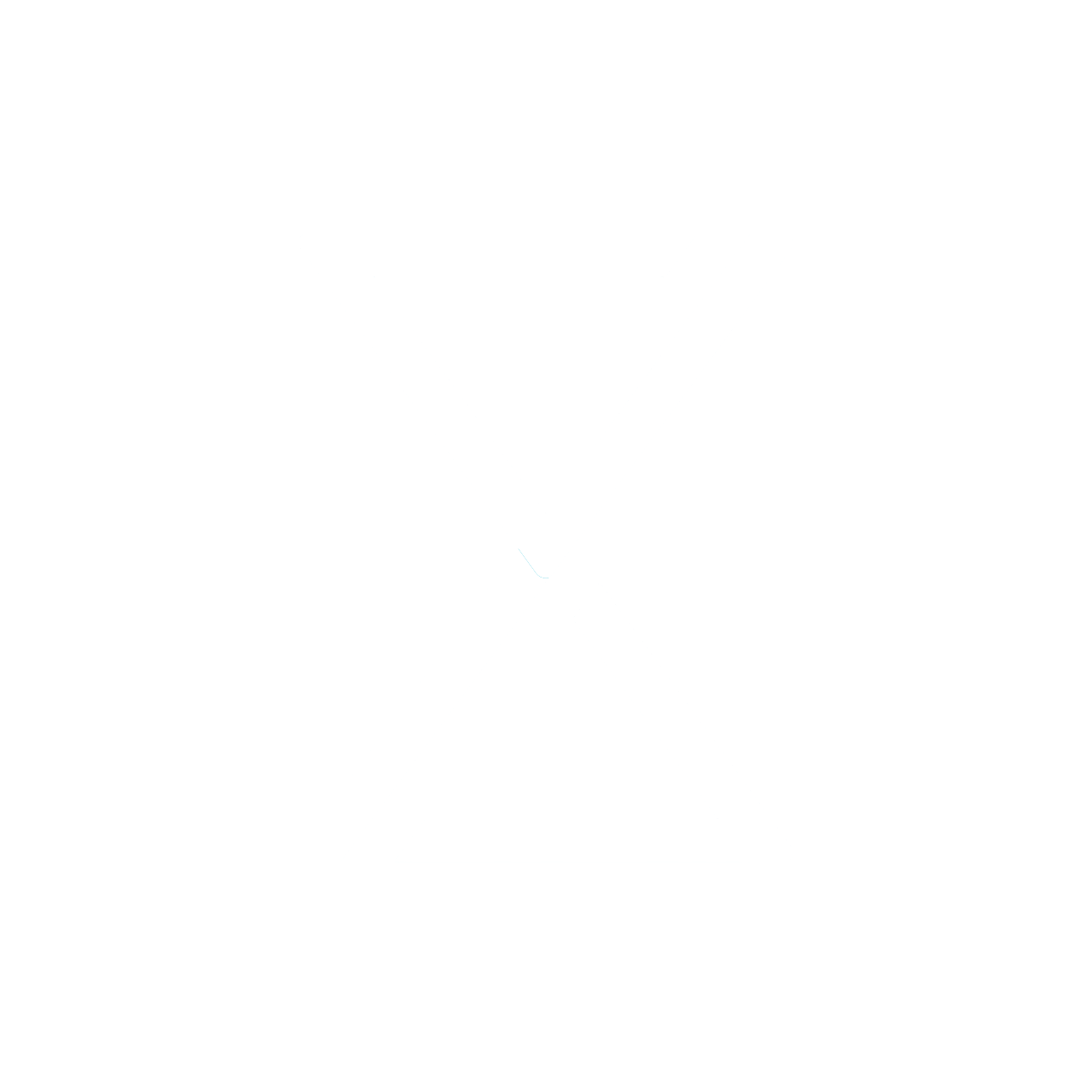 Ally Logo